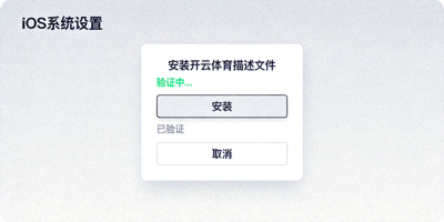 iOS系统设置中安装开云体育描述文件的界面，显示安装按钮和验证流程